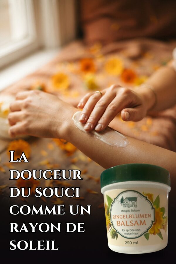 Baume au Souci (Calendula)